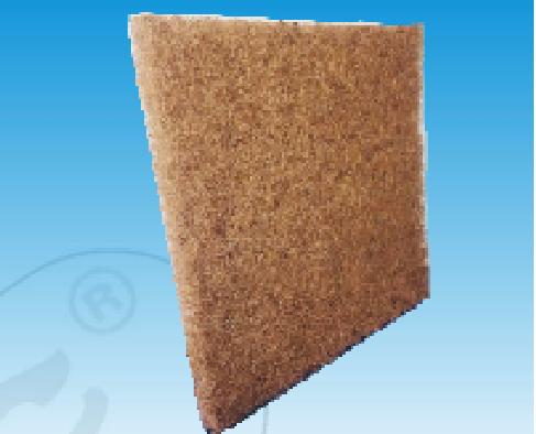 The coconut tree brown filter